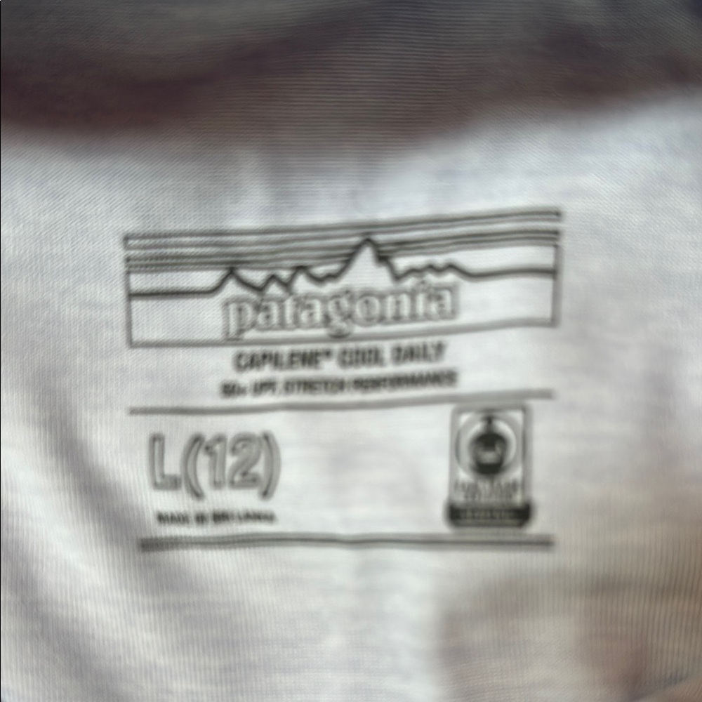 Patagonia kids capeline silk weight hoodie
